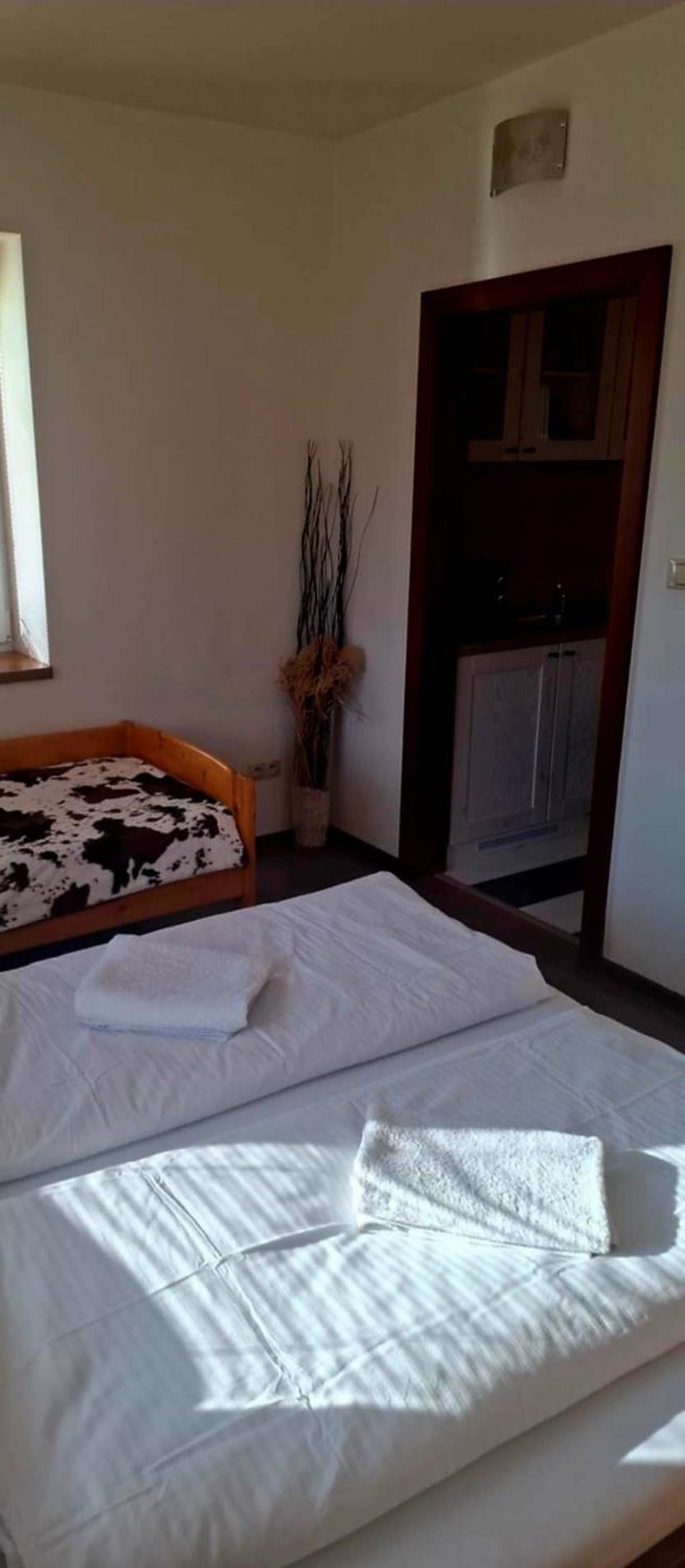 Dolná Tižina Relax Penzion U Adama מראה חיצוני תמונה